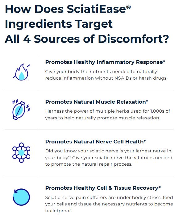 How SciatiEase works, explanaition
